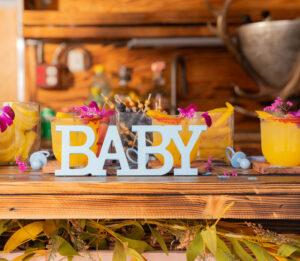 Baby shower -mobile bar in houston (10)