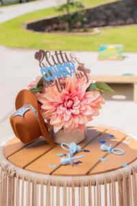 Babyshower decor (1)