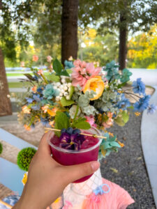 Mobile bar in Houston- baby shower decor 2-1