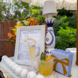 Mobile bar in Houston- baby shower decor White bar baby boy-7