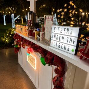 holiday bars- mobile bartenders in houston (2)