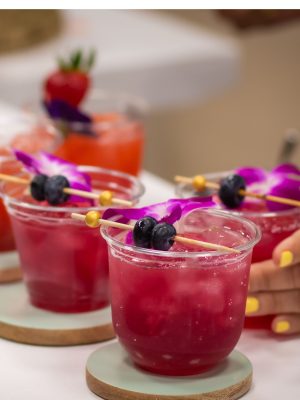 Blueberry Passion Fruit Margarita or Mocktail Option. I'll Drink To That! Mobile Bar in Houston