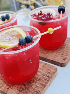 Blue & Zesty Blue & Zesty cocktail made with tequila, blueberry hard seltzer, lemon juice, and simple syrup, garnished with blueberries and a lemon twist — I’ll Drink To That! mobile bar signature cocktail