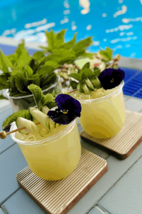 A chilled glass of cucumber mint cooler with muddled mint, crisp cucumber slices, lemon, and sparkling soda, served over ice.