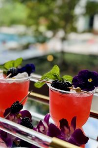 Ginger’s Good Side mocktail served over ice with homemade blackberry syrup, lime juice, and ginger beer—crafted by a mobile bartending service as a non-alcoholic option.