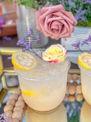 Guava Getaway Driver cocktail with vodka, guava juice, lemon, coconut cream, and club soda — a refreshing drink by I’ll Drink To That! mobile bartending service.