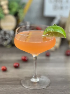 Vodka Cocktails | Iilldrink to that | Texas