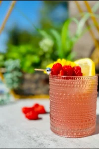Raspberry-Gin | Iilldrink to that | Texas |